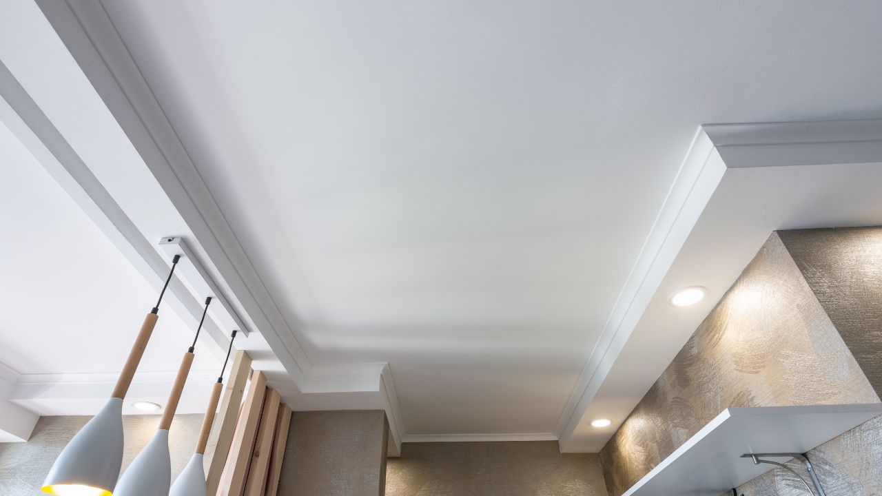 Section Image