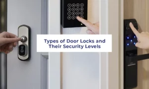 different types of lock