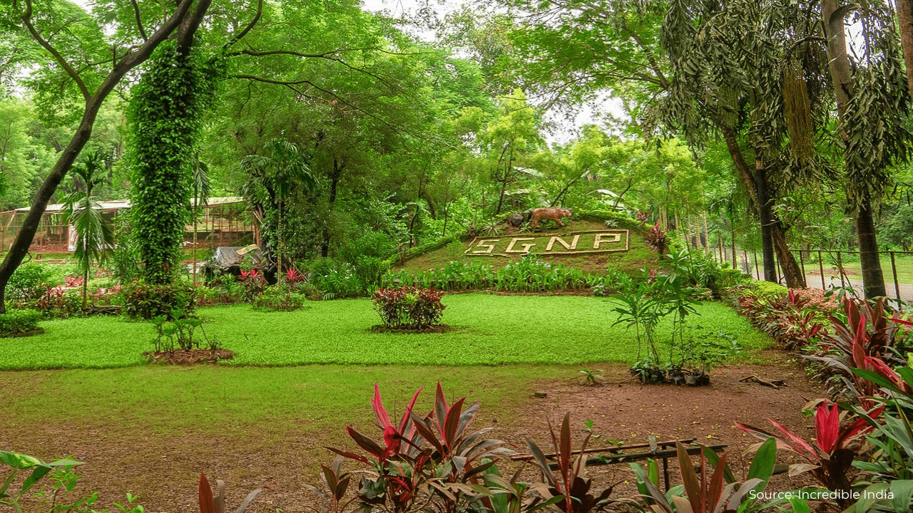 Section Image