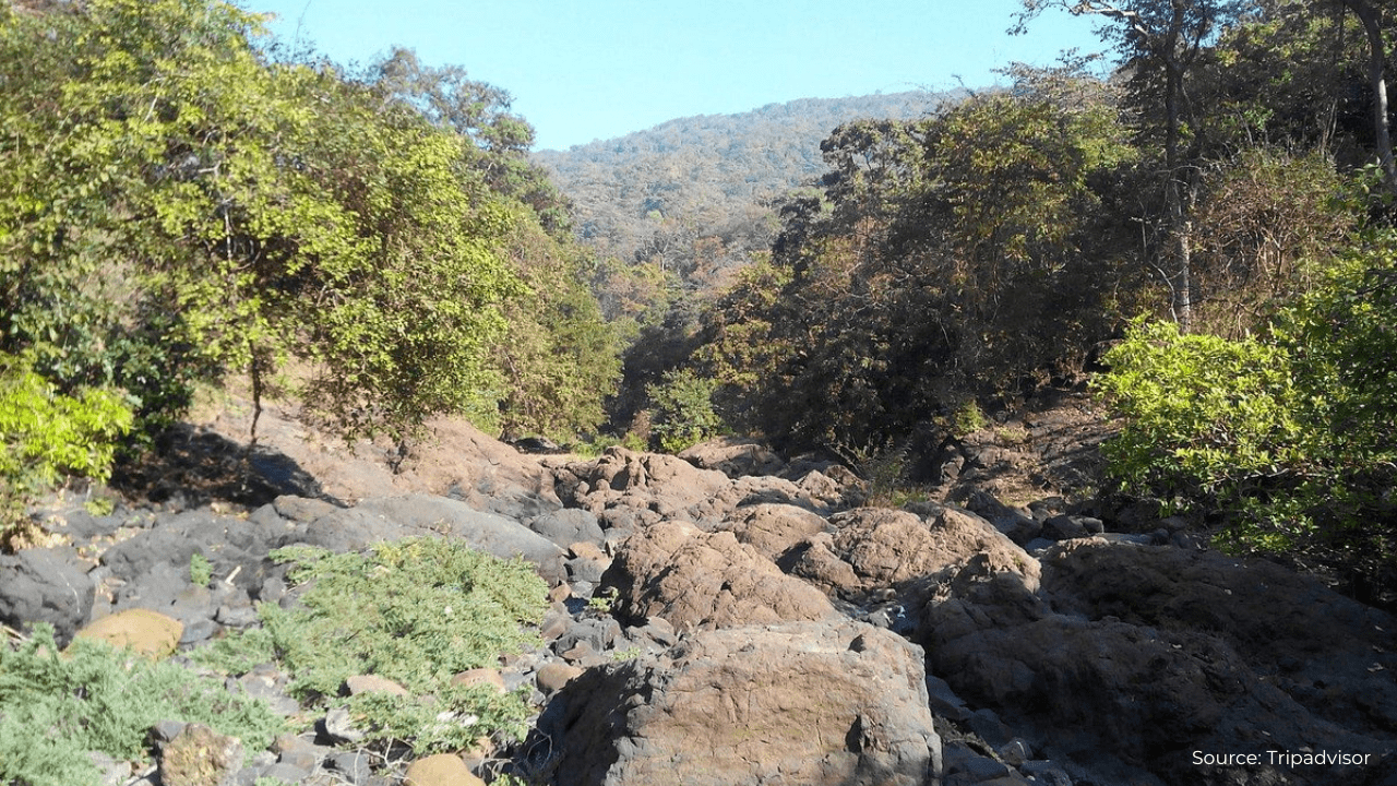 Section Image