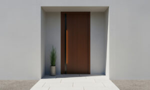 Minimalist Single Modern Main Door
