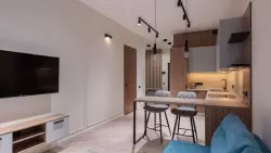 flat-and-apartment